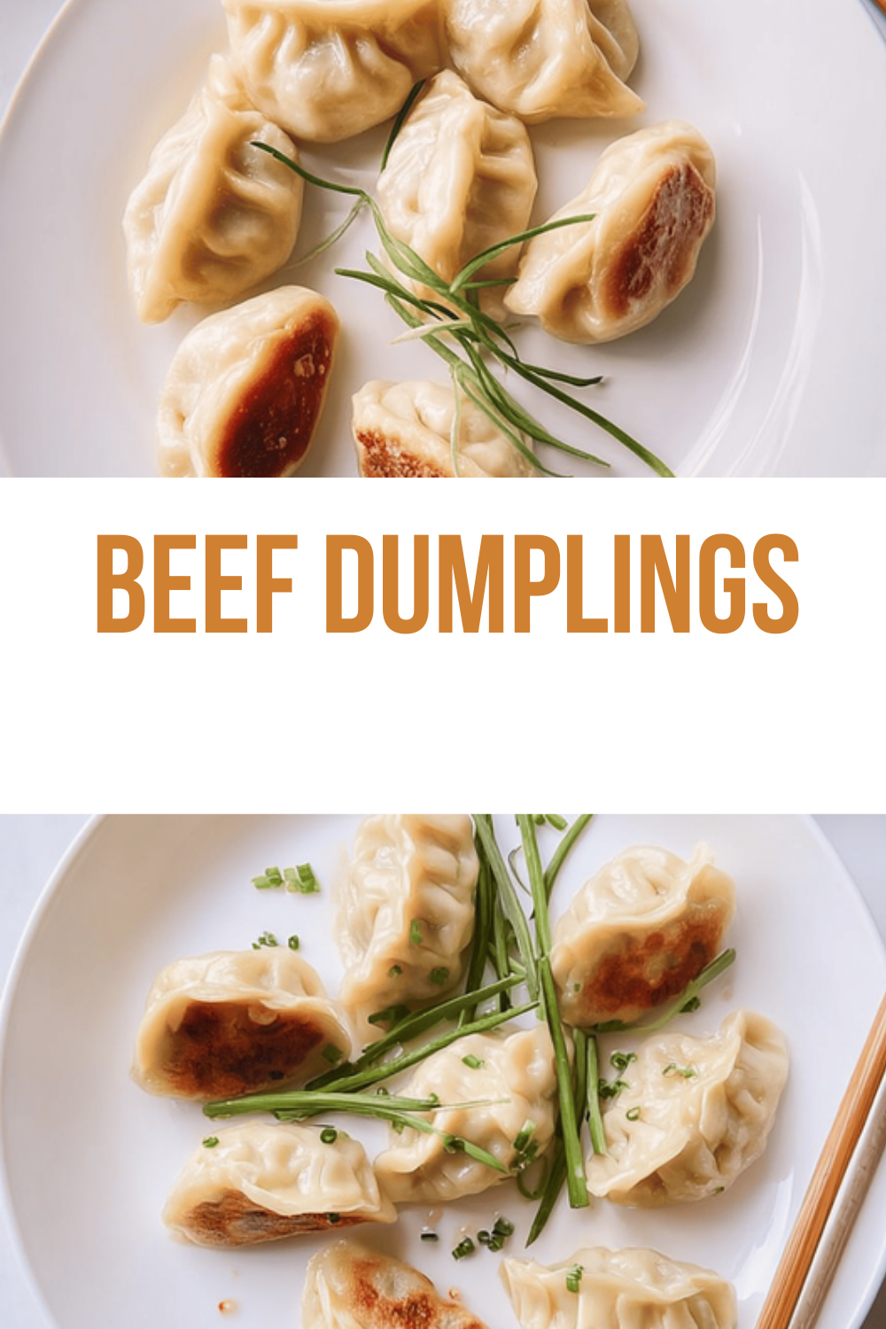 Beef Dumplings