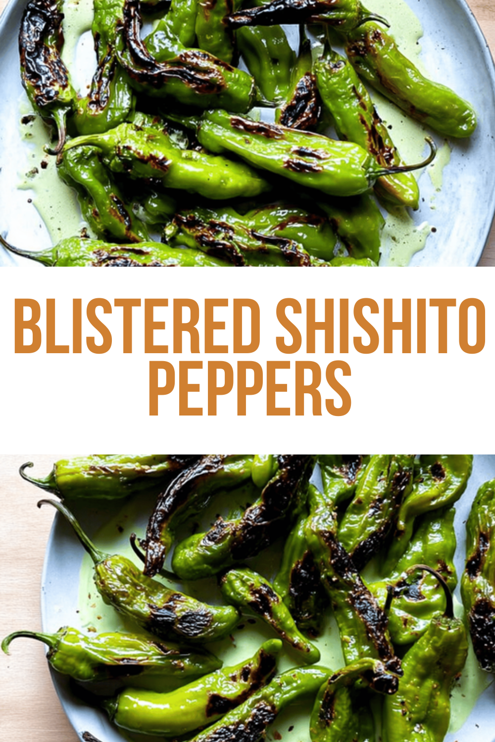 Blistered Shishito Peppers