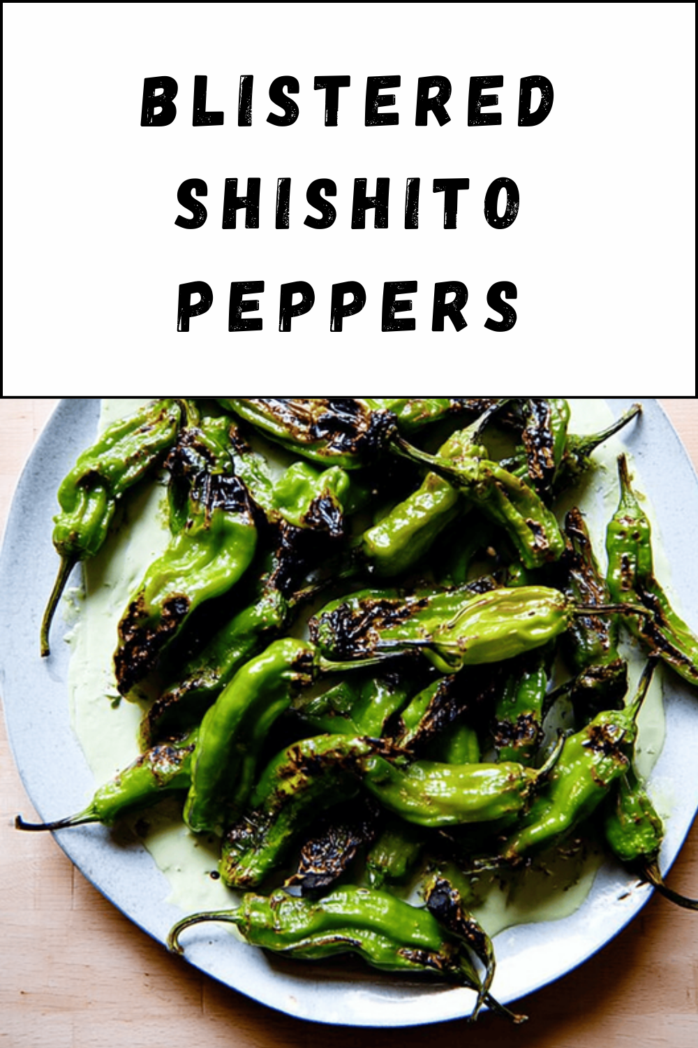 Blistered Shishito Peppers