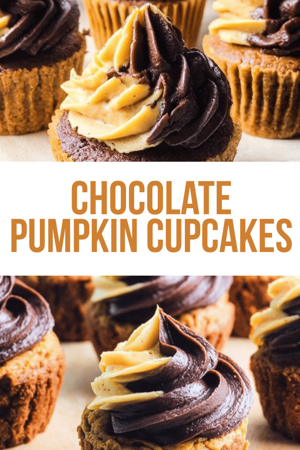 Chocolate Pumpkin Cupcakes