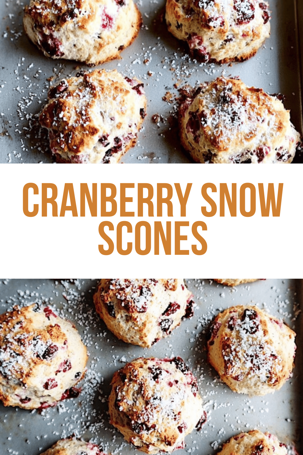 Cranberry Snow Scones