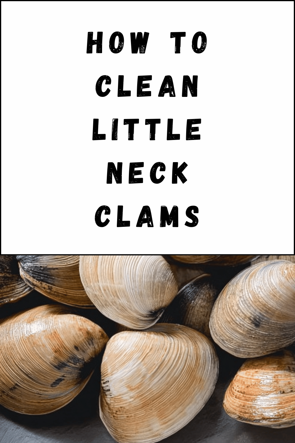 How To Clean Little Neck Clams
