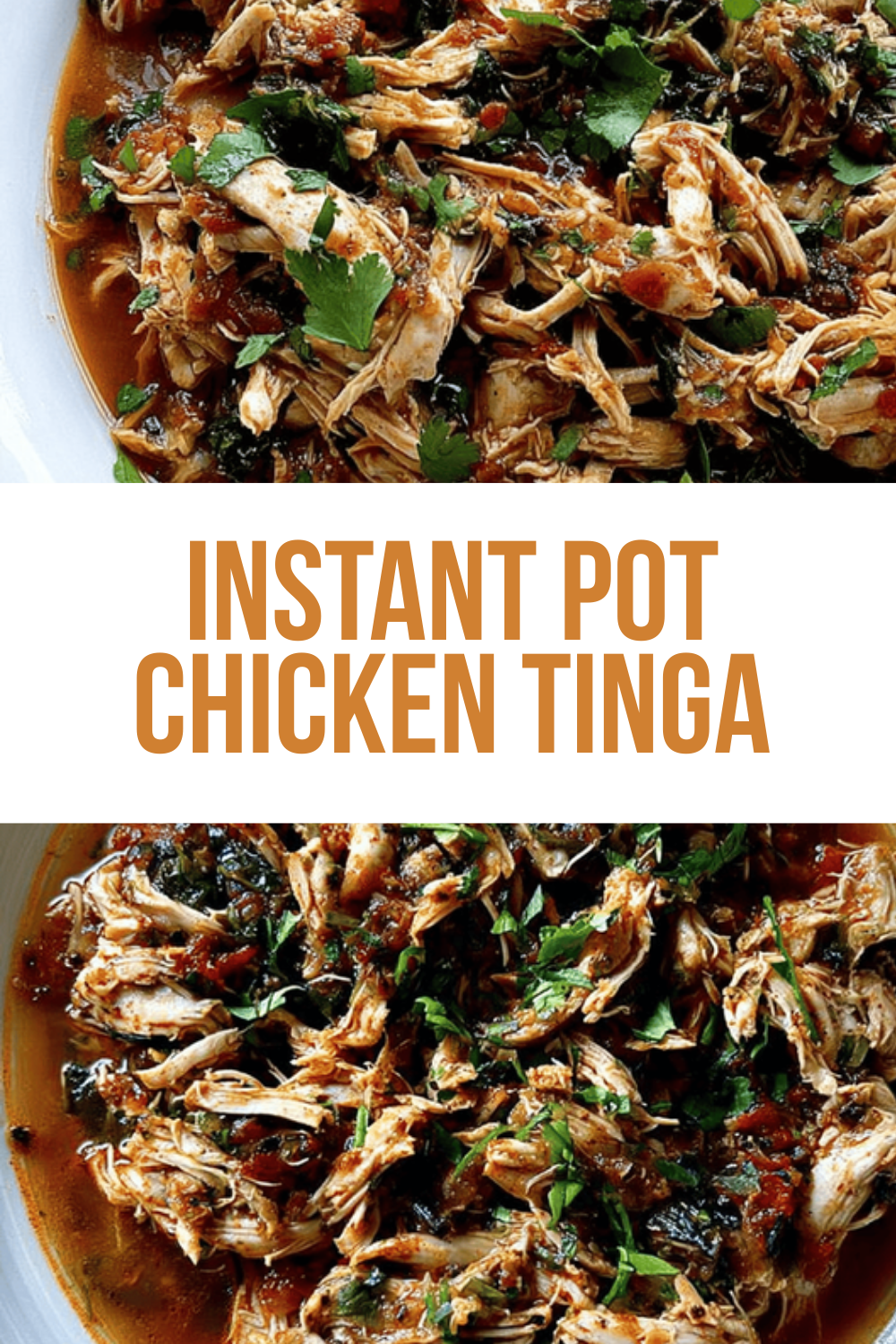 Instant Pot Chicken Tinga