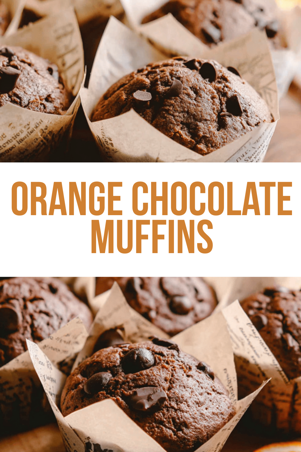 Orange Chocolate Muffins