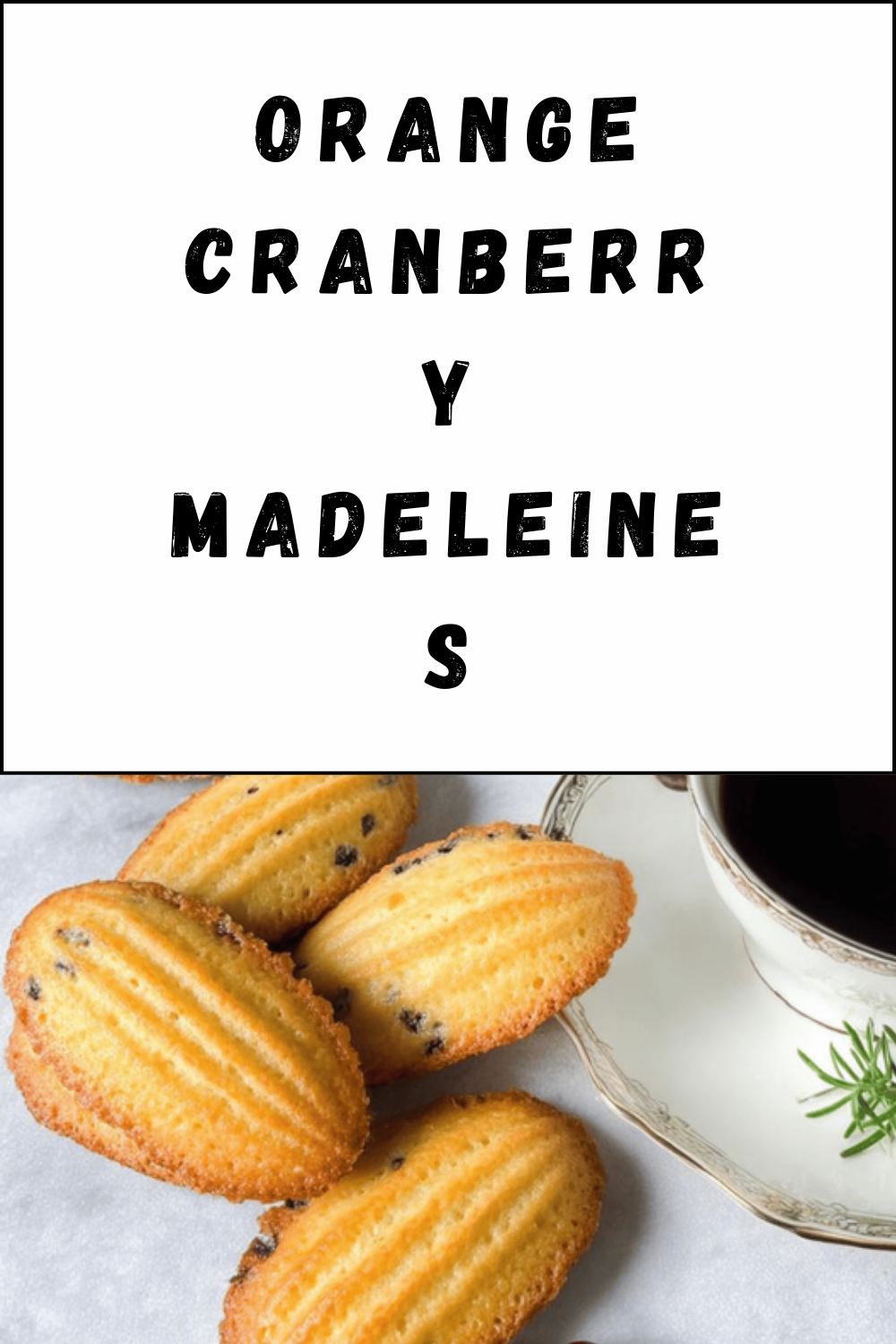 Orange Cranberry Madeleines