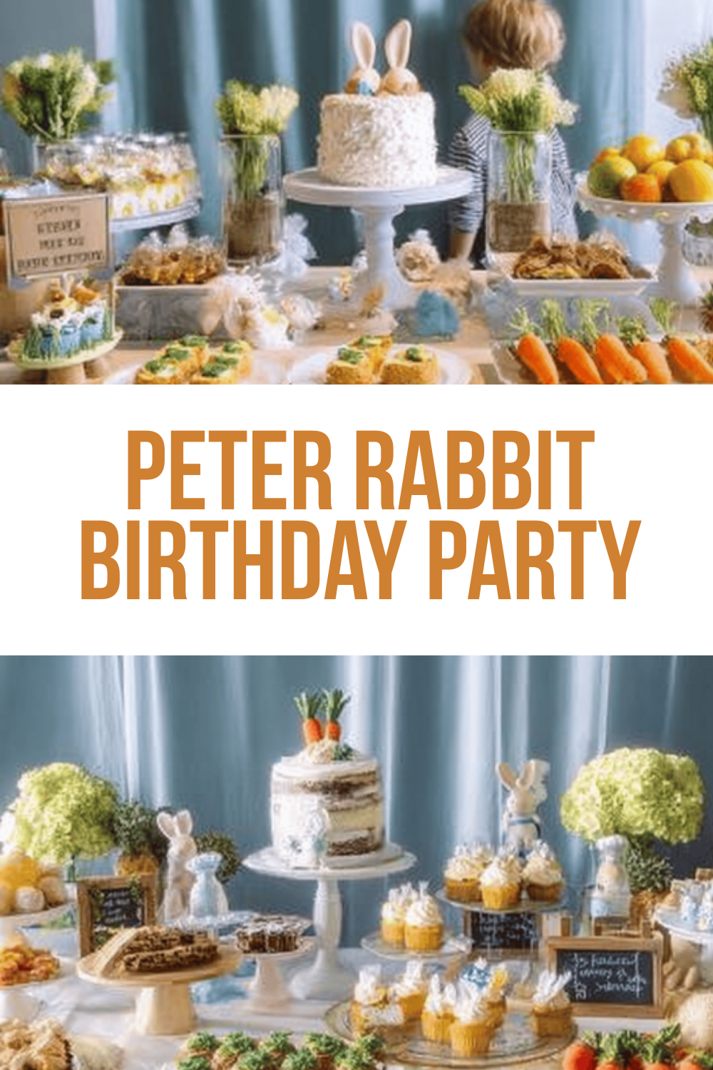 Peter Rabbit Birthday Party