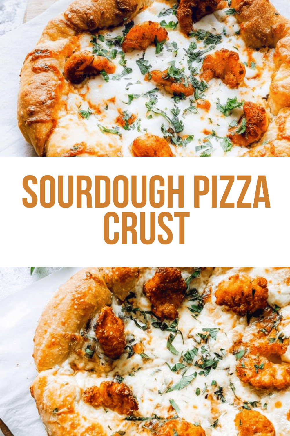 Sourdough Pizza Crust