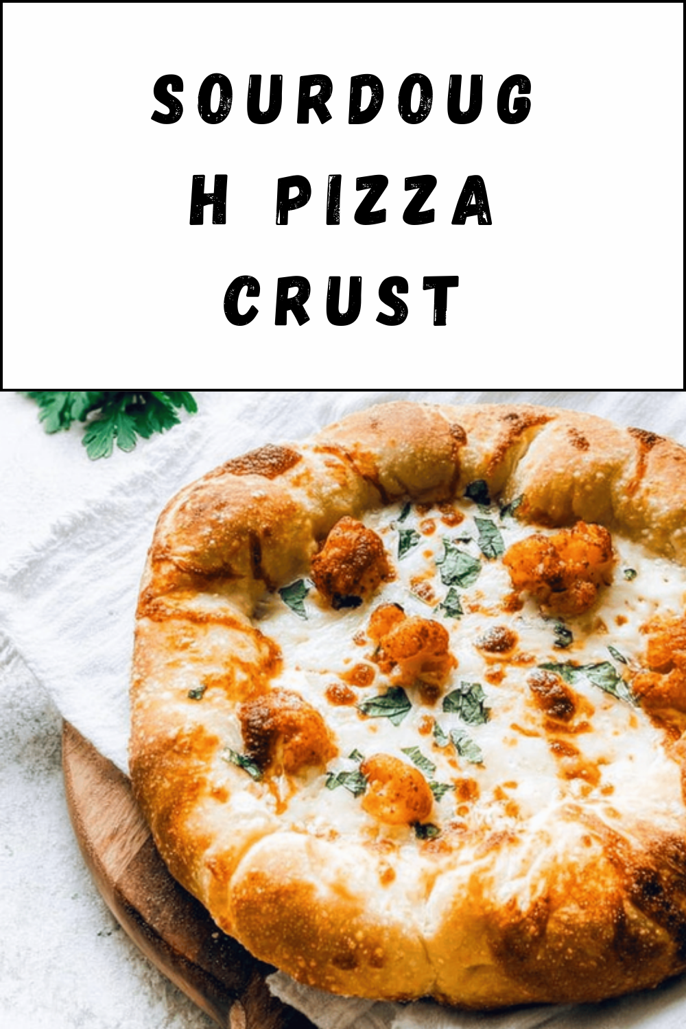 Sourdough Pizza Crust