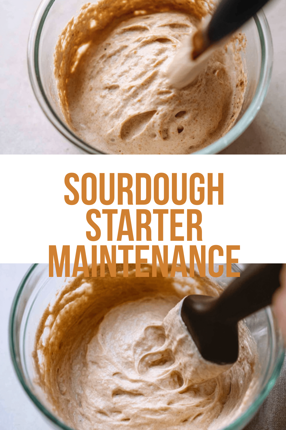 Sourdough Starter Maintenance
