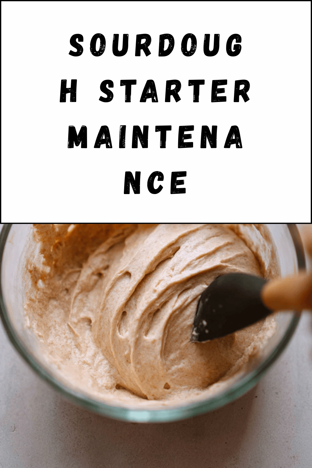 Sourdough Starter Maintenance