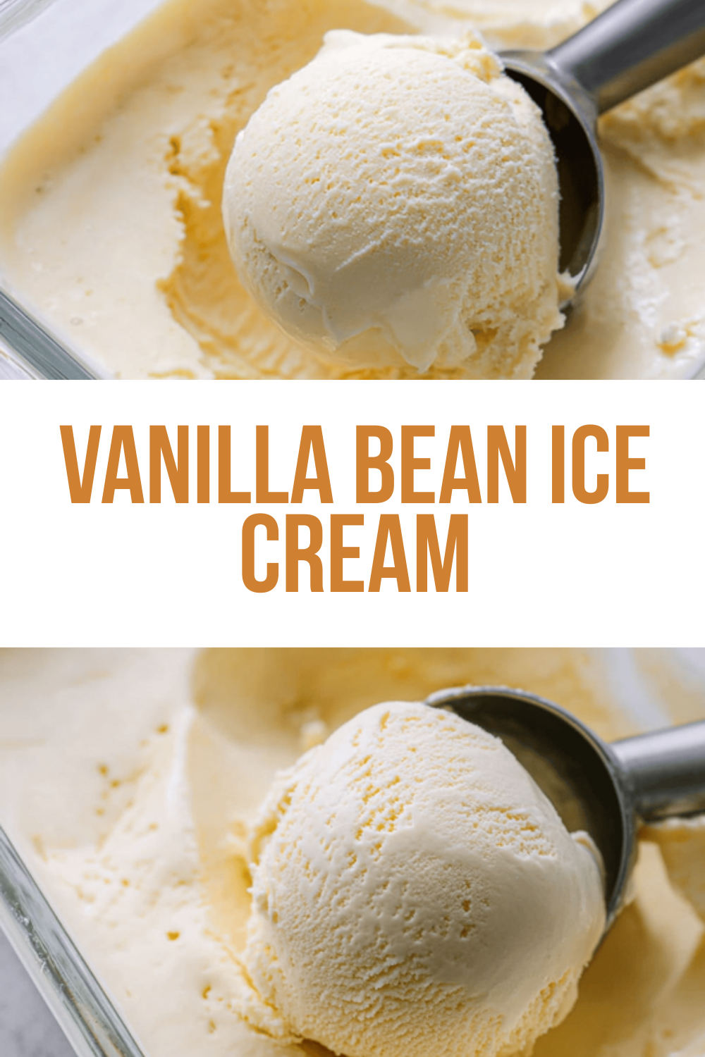Vanilla Bean Ice Cream