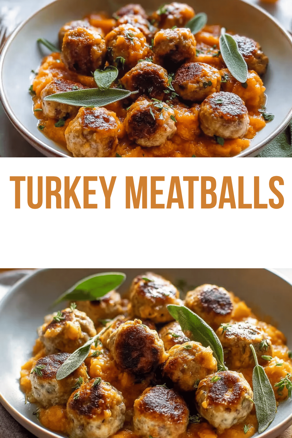 Turkey Meatballs