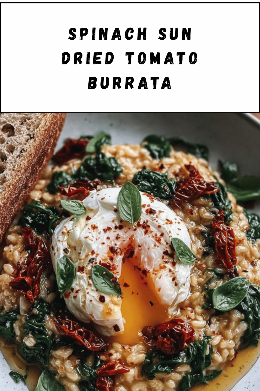 Spinach Sun Dried Tomato Burrata