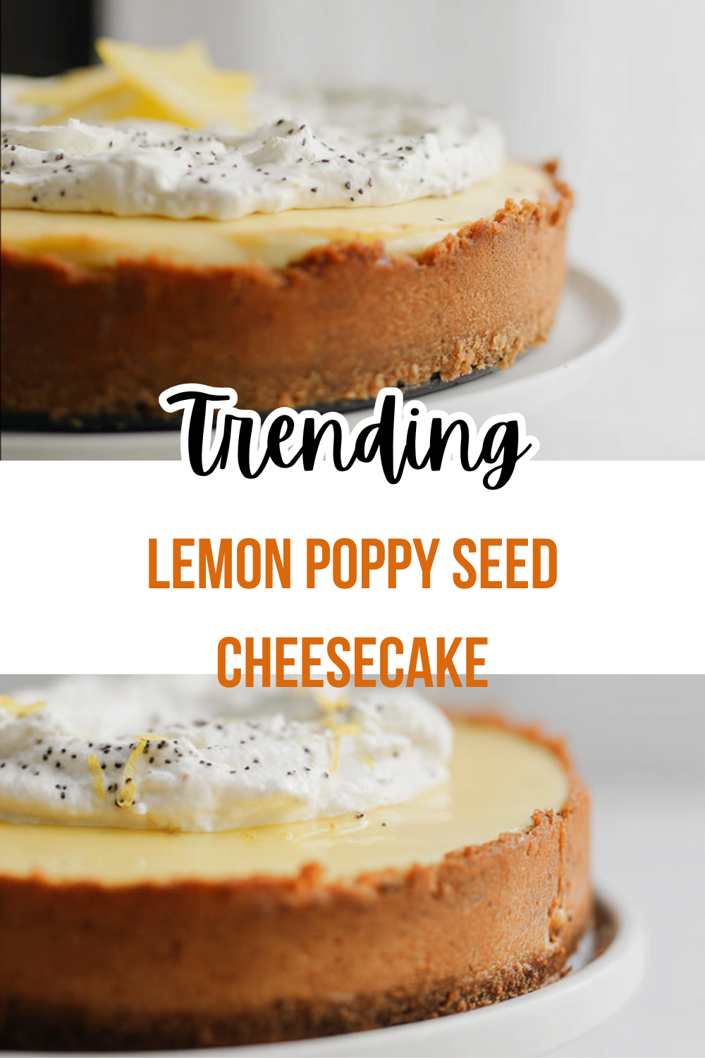 Lemon Poppy Seed Cheesecake