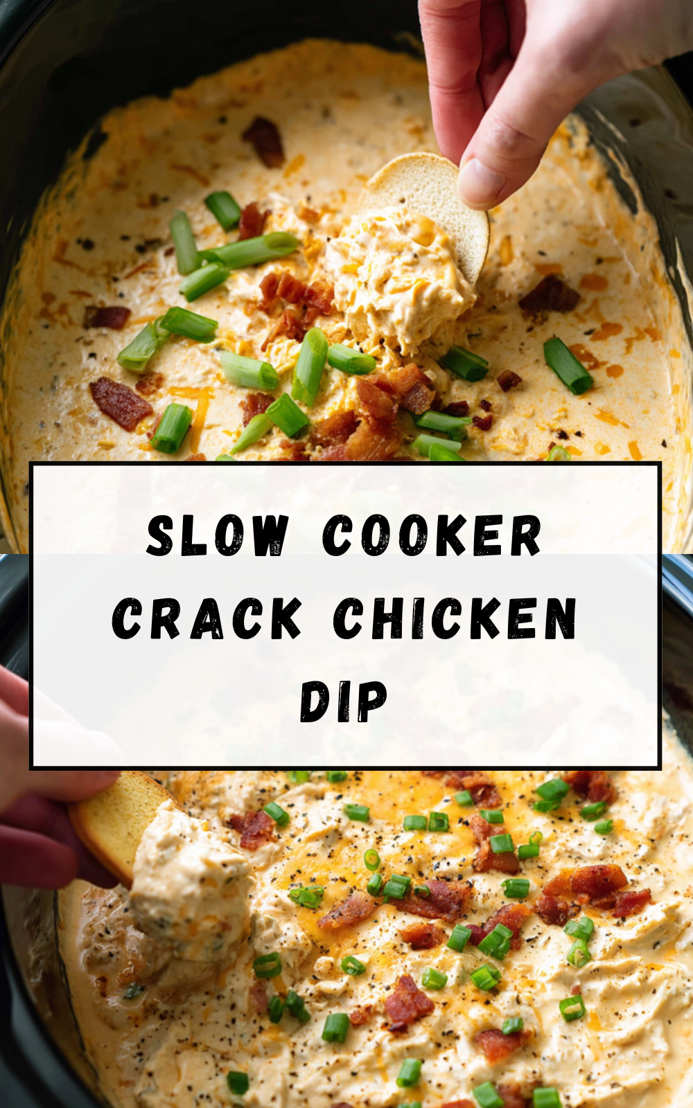 Slow Cooker Crack Chicken Dip