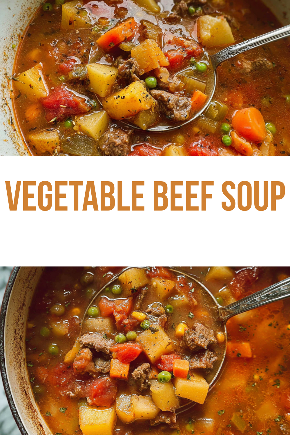 Vegetable Beef Soup
