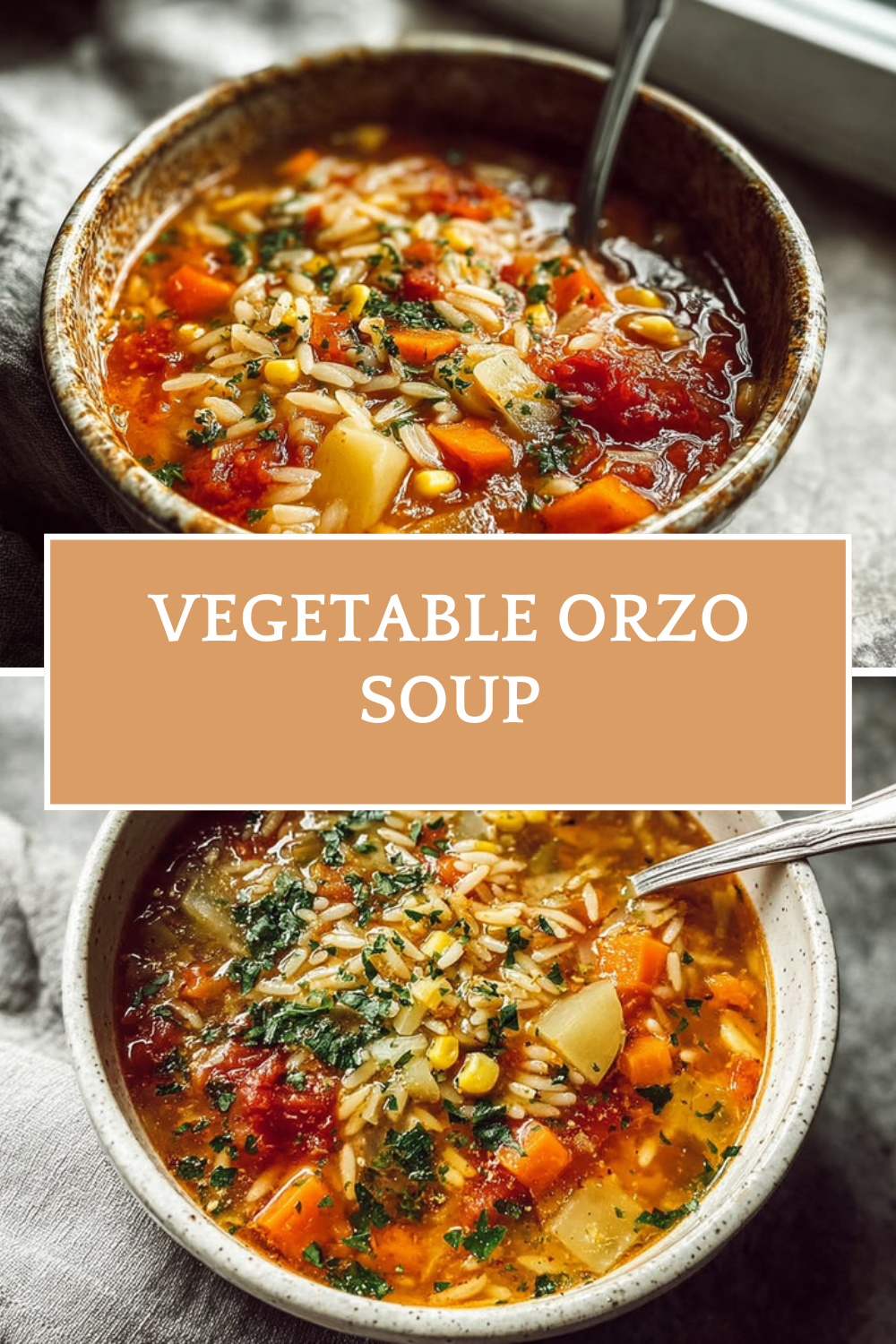 Vegetable Orzo Soup