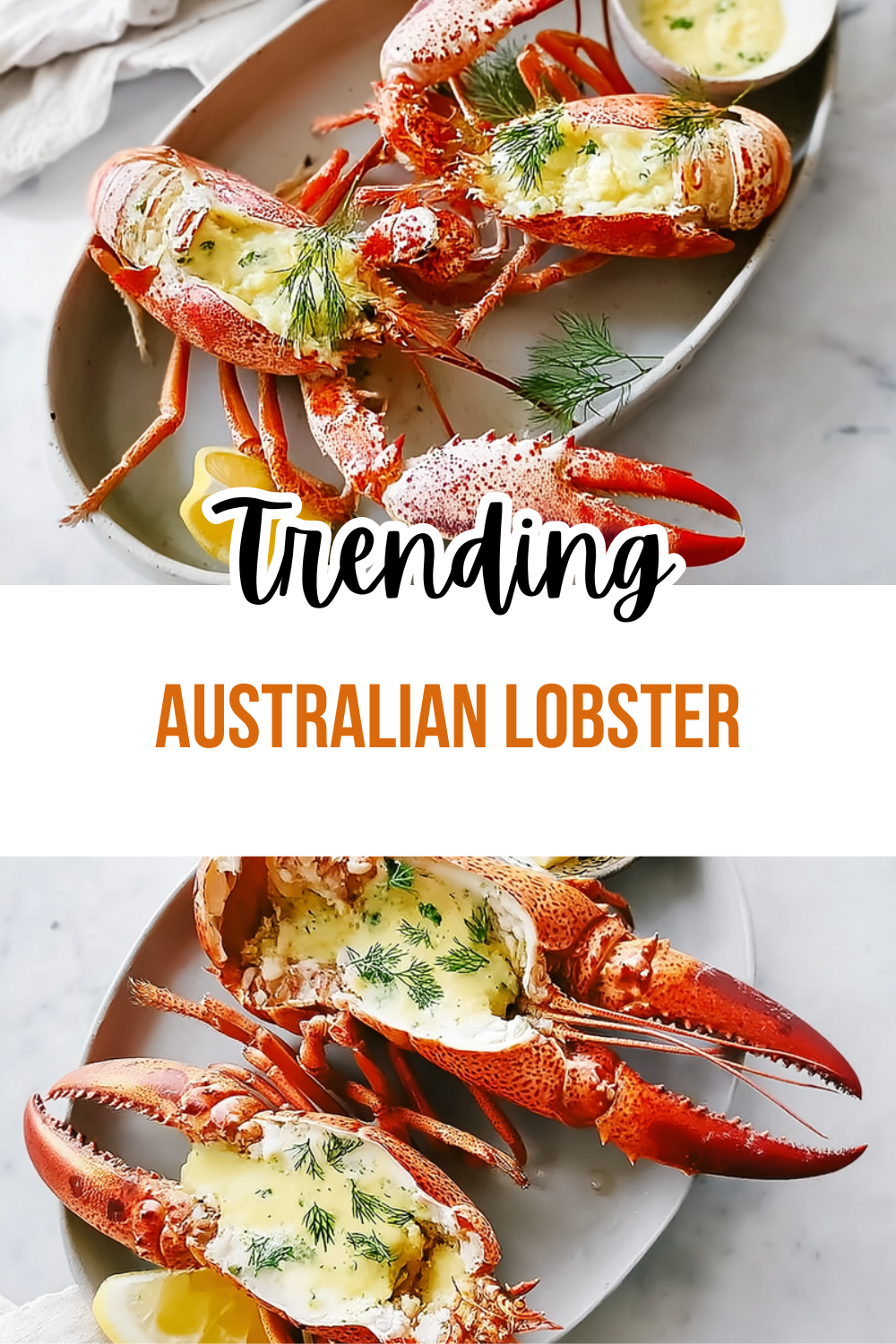 Australian Lobster