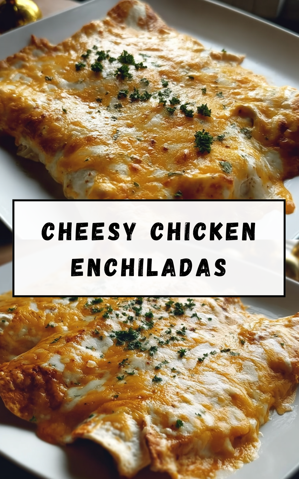 Cheesy Chicken Enchiladas