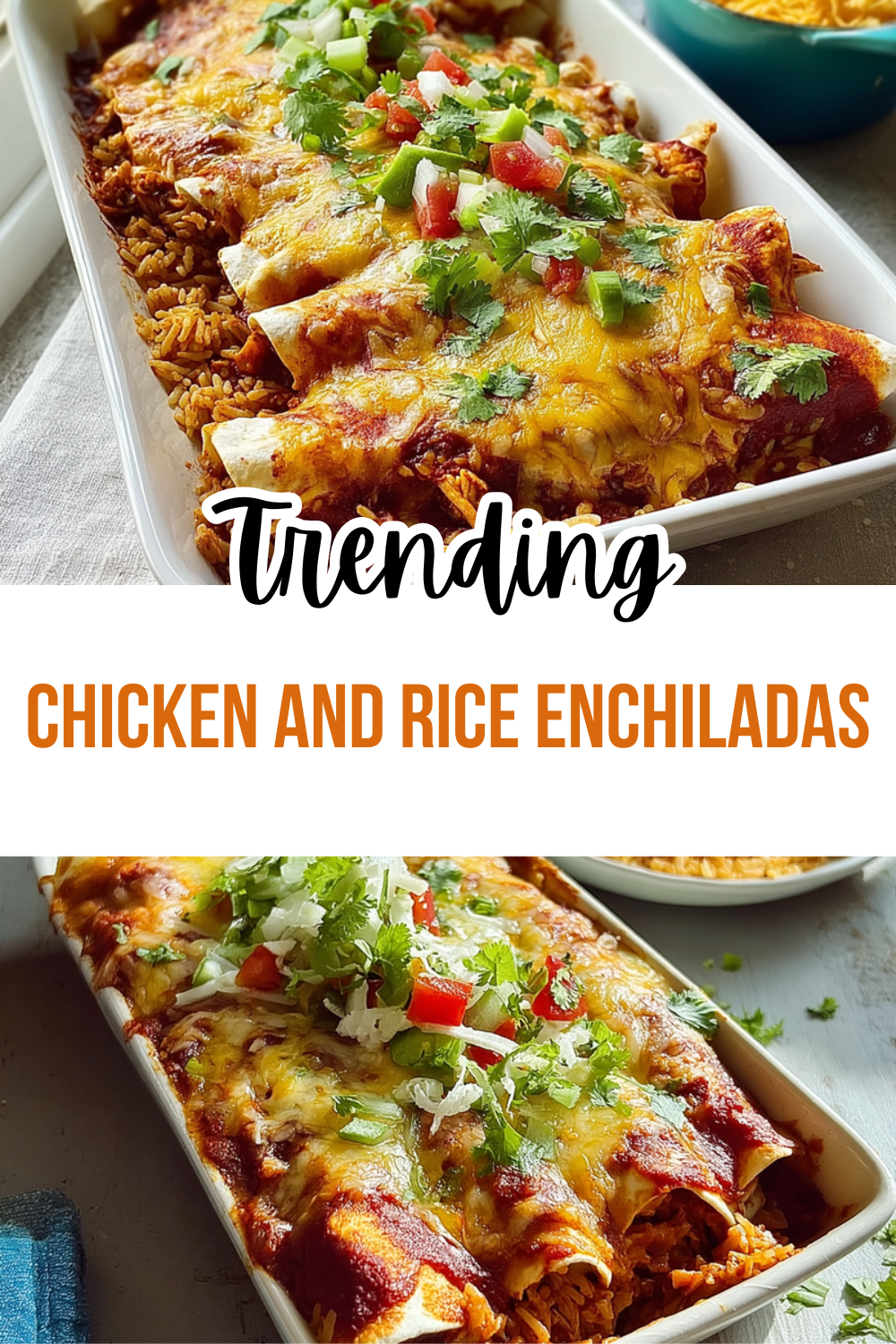 Chicken And Rice Enchiladas
