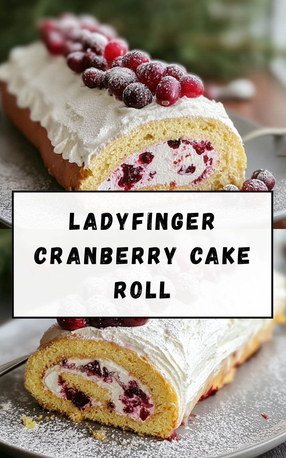 Ladyfinger Cranberry Cake Roll