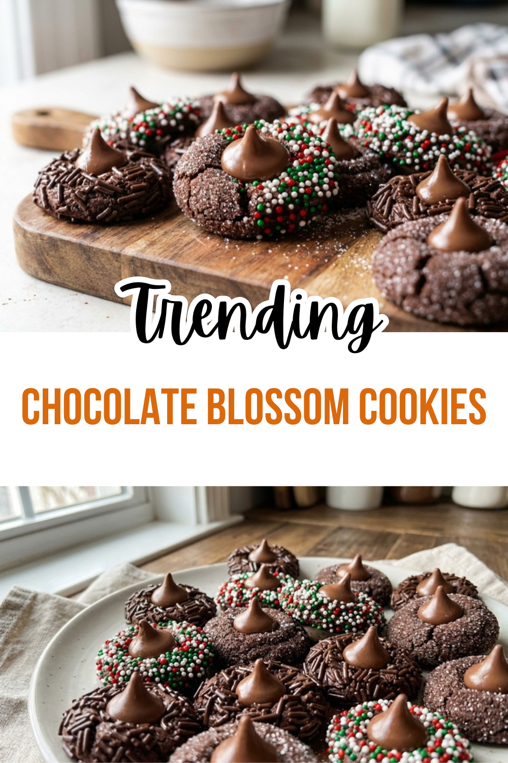 Chocolate Blossom Cookies